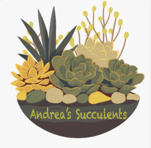 Image of a succulent arrangement in a brown pot