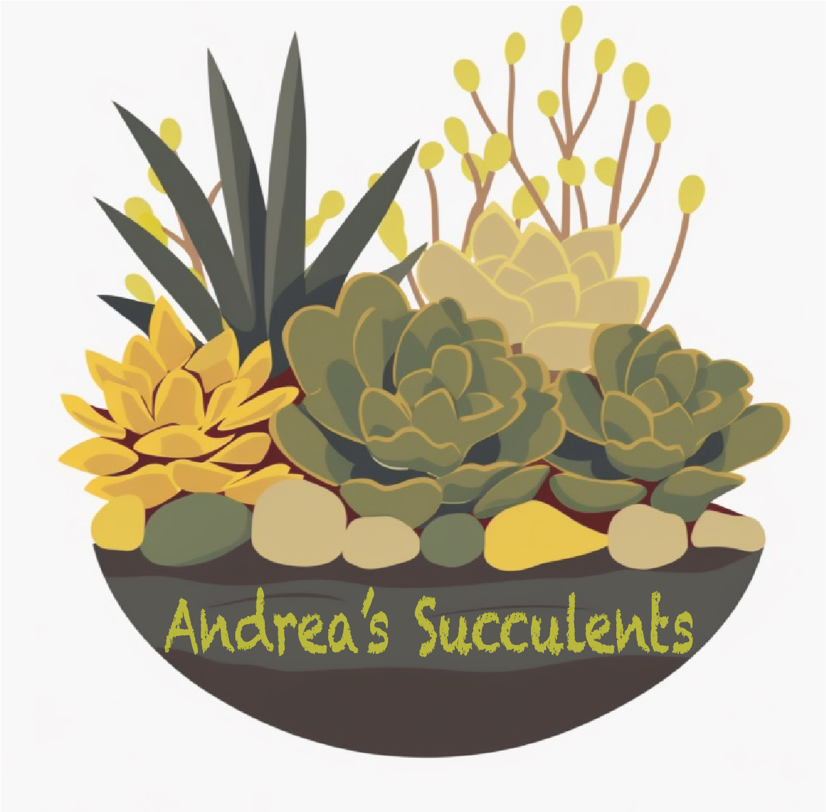 Andrea's Succulents